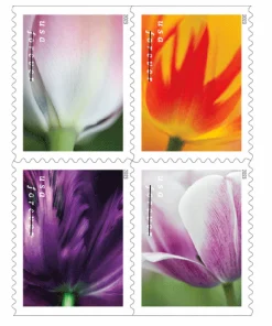 Forever Stamps Tulip Blossoms 2023 Stamps Coil of 100 PCS/Roll