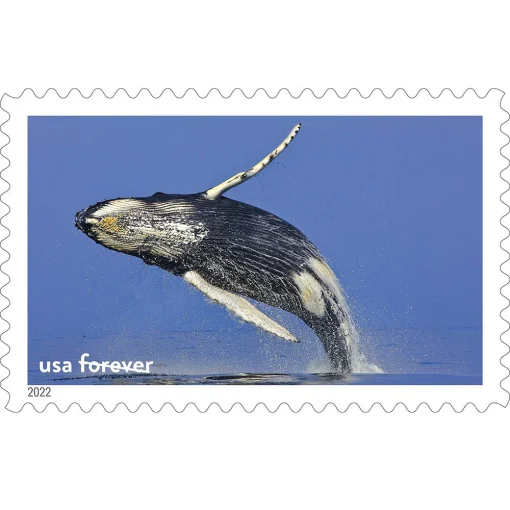 Forever Stamps National Marine Sanctuaries 2022 Stamps Coil of 100 PCS/Roll - Image 3
