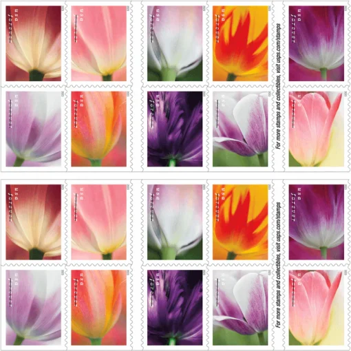 Forever Stamps Tulip Blossoms 2023 Stamps Coil of 100 PCS/Roll - Image 3