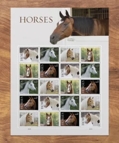 Forever Stamps Horses 2024 Stamps Coil of 100 PCS/Roll
