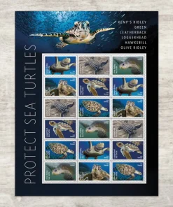 Forever Stamps Protect Sea Turtles 2024 Stamps Coil of 100 PCS/Roll