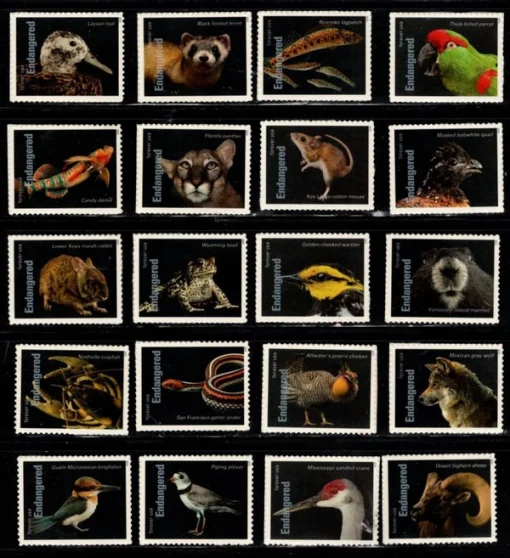 Forever Stamps Endangered Species 2023 Stamps Coil of 100 PCS/Roll - Image 3