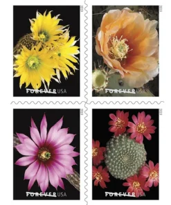 Forever Stamps Cactus Flowers 2019 Stamps Coil of 100 PCS/Roll