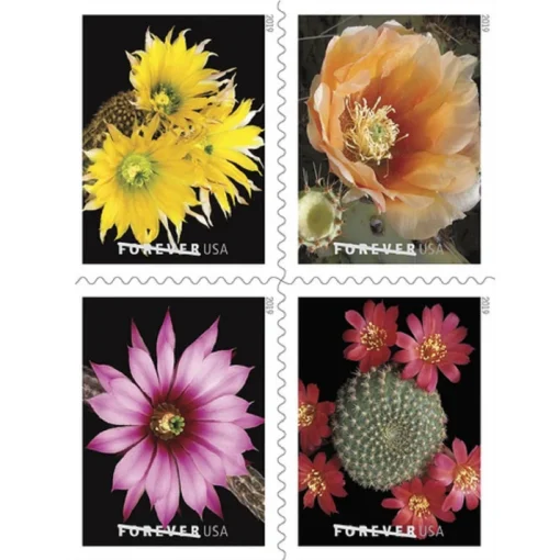 Forever Stamps Cactus Flowers 2019 Stamps Coil of 100 PCS/Roll