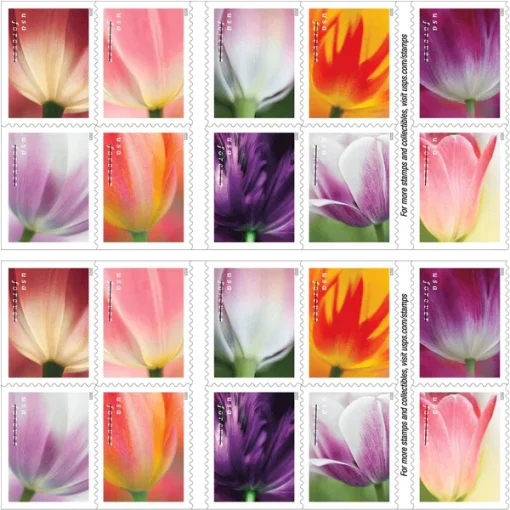 Forever Stamps Flower Bundle Stamps Coil of 100 PCS/Roll - Image 5