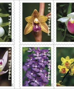 Forever Stamps Wild Orchids 2020 Stamps Coil of 100 PCS/Roll