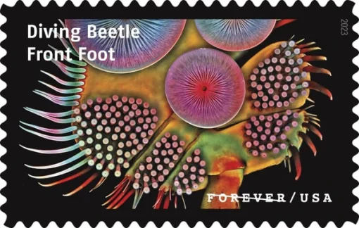Forever Stamps Life Magnified 2023 Stamps Coil of 100 PCS/Roll - Image 7