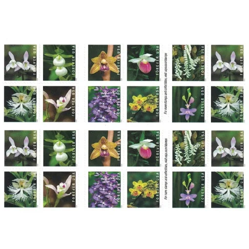 Forever Stamps Wild Orchids 2020 Stamps Coil of 100 PCS/Roll - Image 2