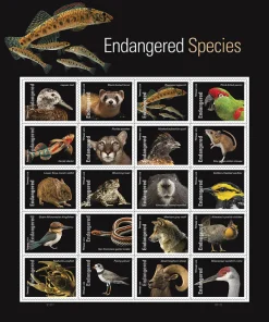 Forever Stamps Endangered Species 2023 Stamps Coil of 100 PCS/Roll