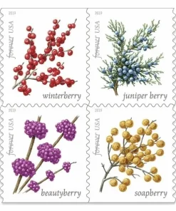 Forever Stamps Winter Berries 2019 Stamps Coil of 100 PCS/Roll