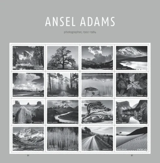 Forever Stamps Ansel Adams 2024 Stamps Coil of 100 PCS/Roll