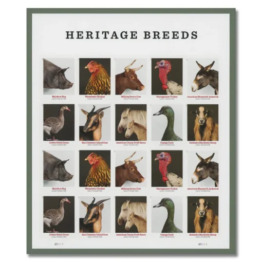 Forever Stamps Heritage Breeds 2021 Stamps Coil of 100 PCS/Roll - Image 3