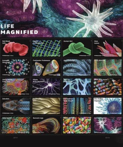 Forever Stamps Life Magnified 2023 Stamps Coil of 100 PCS/Roll