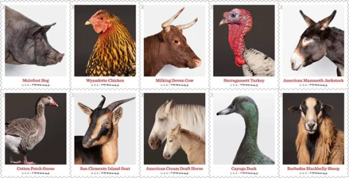 Forever Stamps Heritage Breeds 2021 Stamps Coil of 100 PCS/Roll